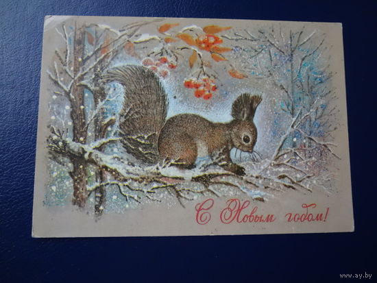 С Новым годом!  1981 г.  Белка, рябина.  подписанная.