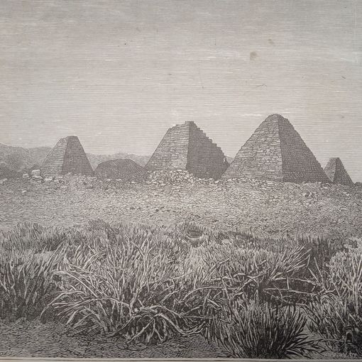 Гравюра конец 19в.-20в.   21х17см.