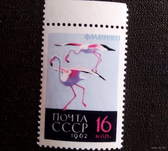 Марка СССР 1962 год Птицы