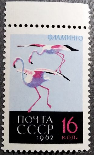 Марка СССР 1962 год Птицы