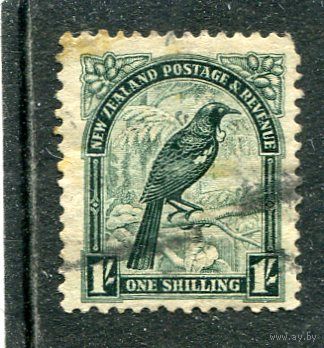 Новая Зеландия. Стандарт. Фауна. Новозеландская туи