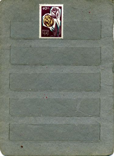 СССР, 1965,   ЦВЕТЫ,   1м   (*)   С НАКЛ
