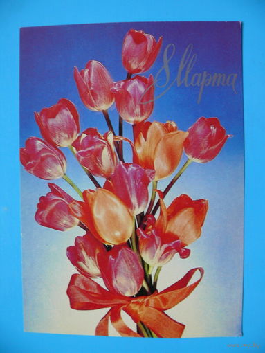 Казакевич И., 8 Марта, 1983, чистая.