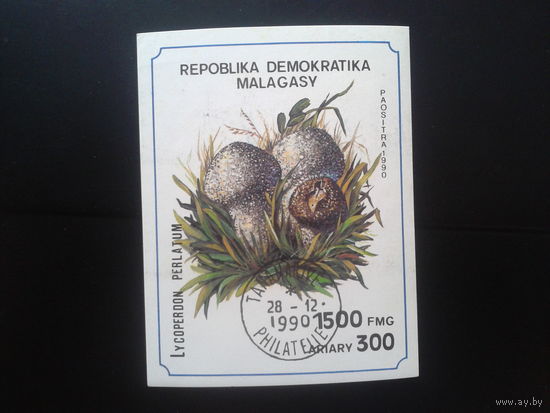 Магадаскар 1990 Грибы Блок