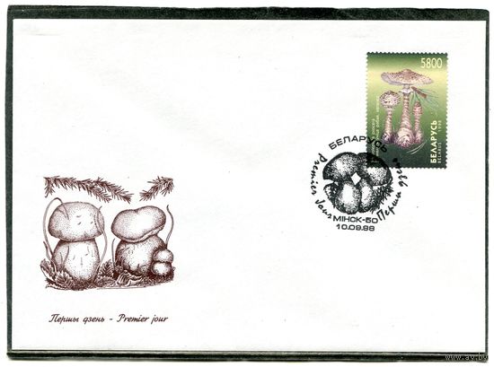 Беларусь 1998. КПД. Грибы