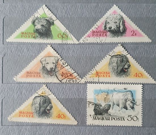 Венгрия собаки 6шт