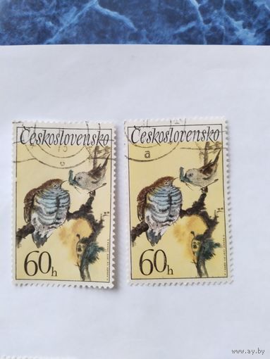 ЧССР  1972 1м