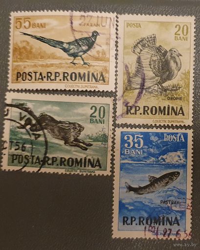Румыния фауна 4шт