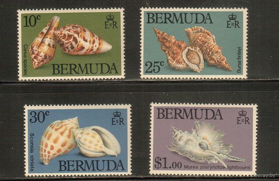 Бермуды-1982(Мих.408-411) , ** , Морская  Фауна,   Раковины (полная серия)