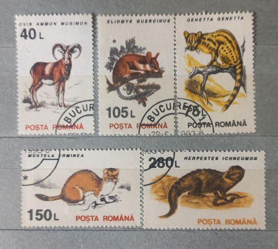 Румыния. Фауна.