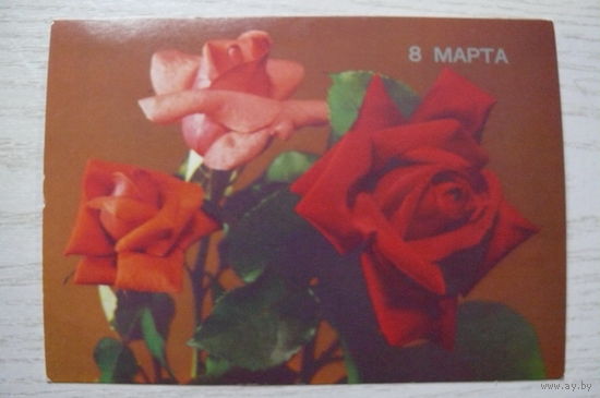 Круцко Б., 8 марта, 1989, подписана.