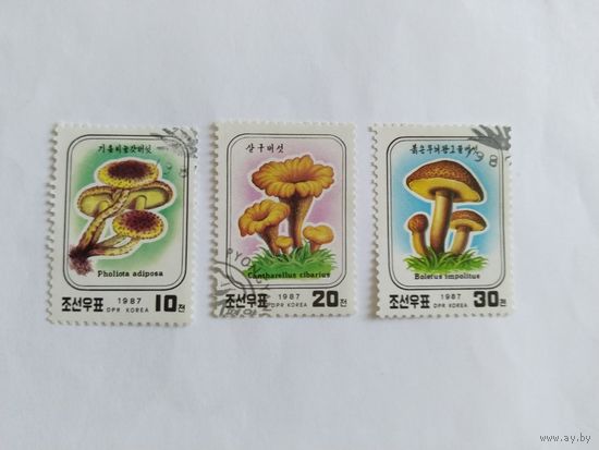 КНДР 1987  3м .грибы