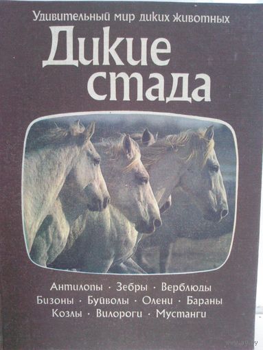 Джон Нири. Дикие стада