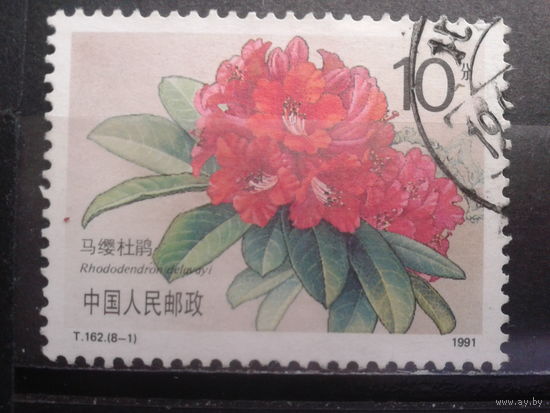 Китай, 1991. Рододендрон