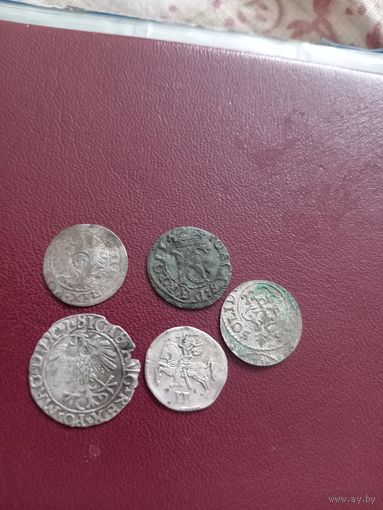Отличная подборка монет Речи Посполитой