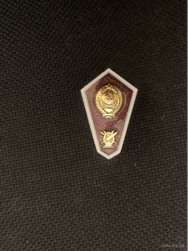 Поплавок музыкант
