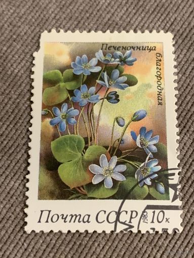 СССР 1983. Печёночница благородная. Марка из серии