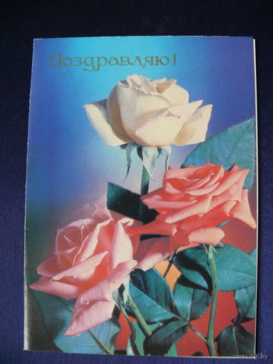 Фото Губина П., Поздравляю! 1991, двойная, чистая.
