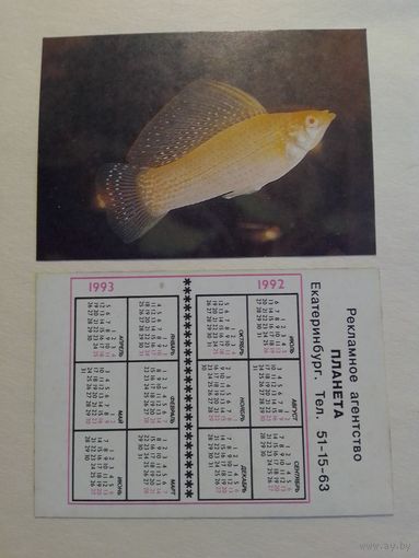 Карманный календарик. Аквариумные рыбы.1992 год