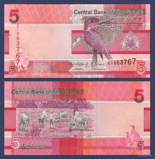 Гамбия, 5 даласи 2023 г., P-W37 (C, гигантский зимородок), UNC