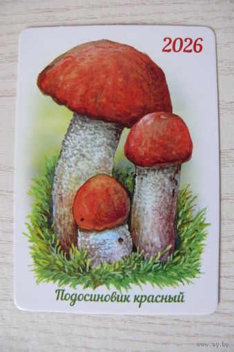 Календарик, 2026, Подосиновик красный, изд. "Белпочта".