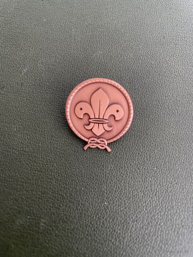 Знак скаута