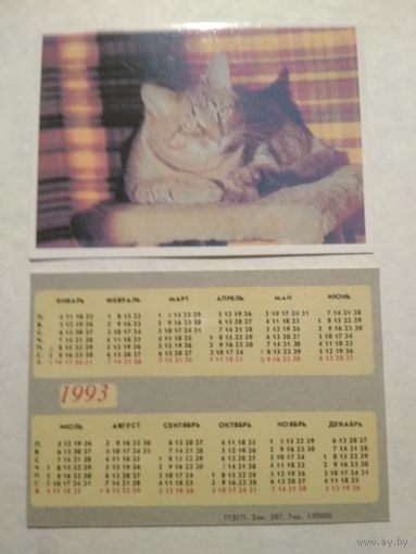 Карманный календарик. Котик. 1993 год