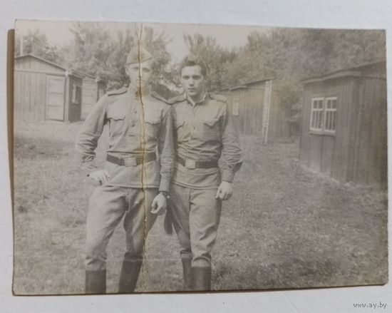 Фото в коллекцию