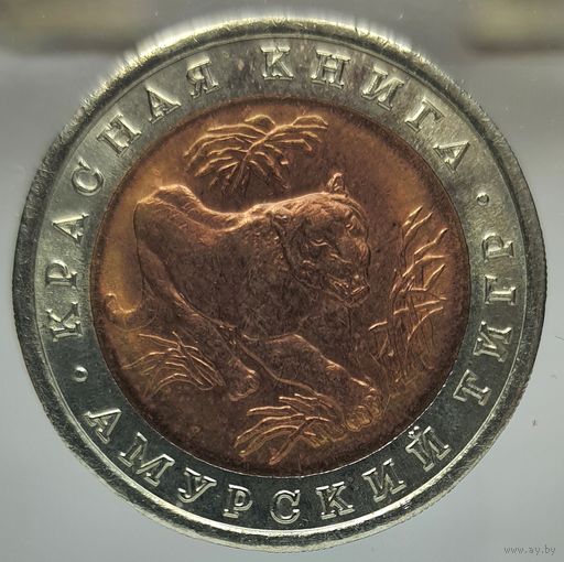 10 рублей 1992 Амурский тигр, Красная книга. Состояние UNC. Более 40 лотов с 1 рубля