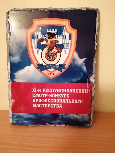 Конкурс профмастерства, Брест 2014
