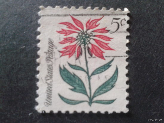 США 1964 Рождество, цветок