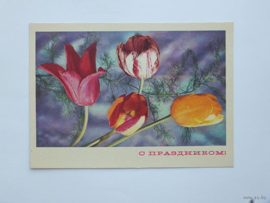 Костенко с праздником  1970   10х15    см