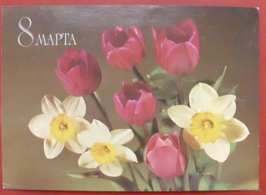 8 марта! Подписанная. 1982 года. Круцко. 884.