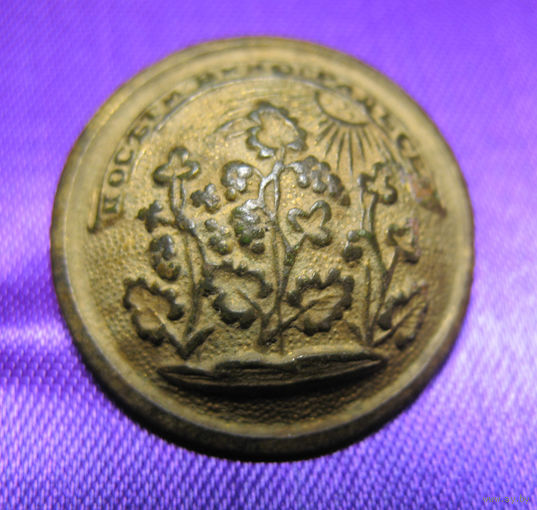 Пуговица чиновников "Общества Благородных девиц и прочих институтов" "Посети виноград сей" ведомства императрицы Александры Федоровны