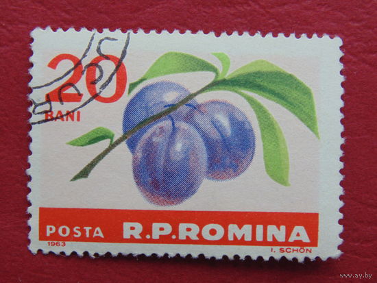 Румыния 1963 г. Слива.
