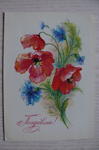 Коробова Н., Поздравляю! 1986, 1987, подписана.