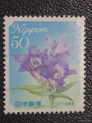 Япония. Цветы.