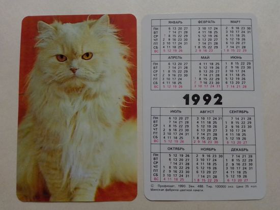 Карманный календарик. Котик.1992 год