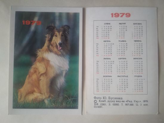 Карманный календарик. Собака.1979 год