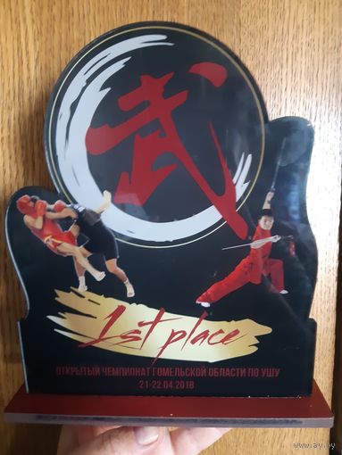 Сувенир из оргстекла. Чемпионат по УШУ. 2018 год