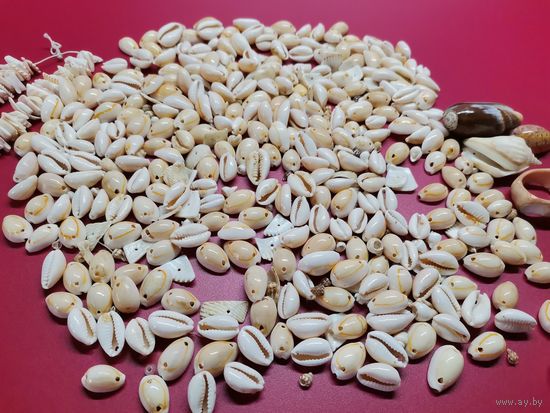 Лот бусин Ракушки Каури для творчества и рукоделия
