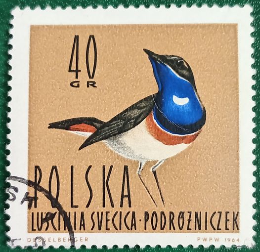 Польша 5 июня 1964. Фауна. Варакушка