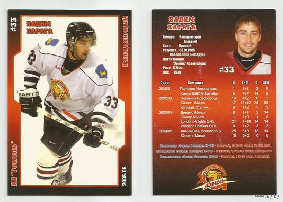 Вадим Карага / ХК Гомель / Сезон 2005/2006.