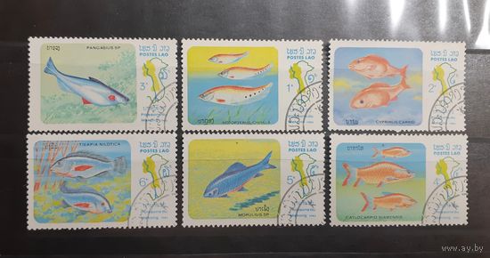 Лаос. 1983 год. Фауна. Рыбы (17)