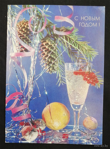 Кропивницкий И. С Новым годом! 1991 год #0153-NG1P77