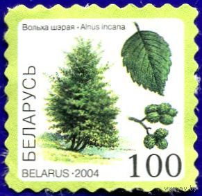 Марка РБ # 548 2004 г., негаш. Серия "Флора". Вольха шэрая.