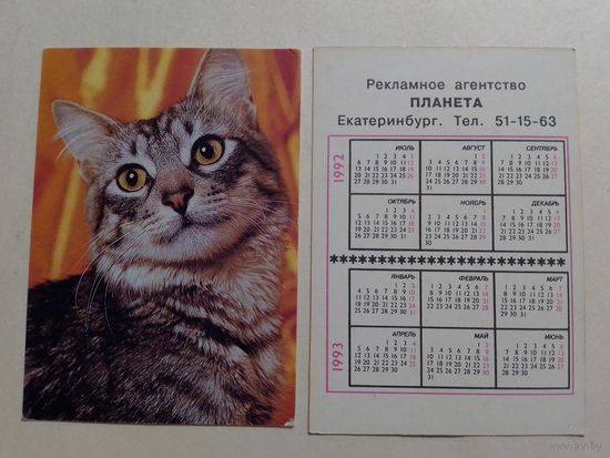 Карманный календарик. Котик.1992 год