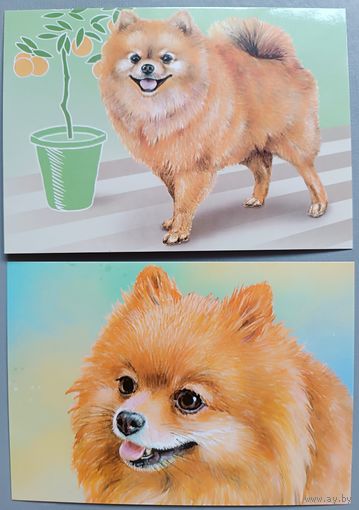 Померанский шпиц. Из серии "Домашние питомцы".