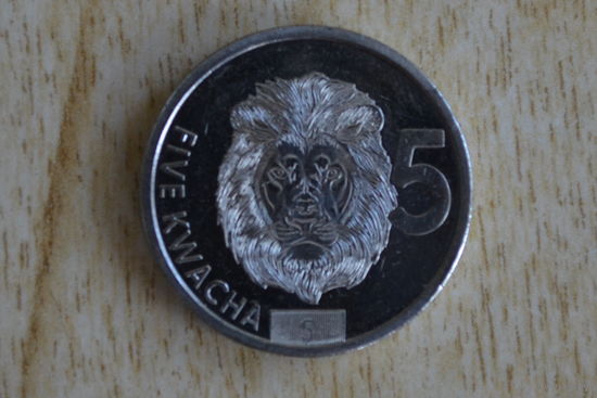 Замбия 5 квач 2024