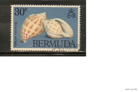 Бермуды-1982(Мих.410) , гаш. , Морская  Фауна,   Раковины
